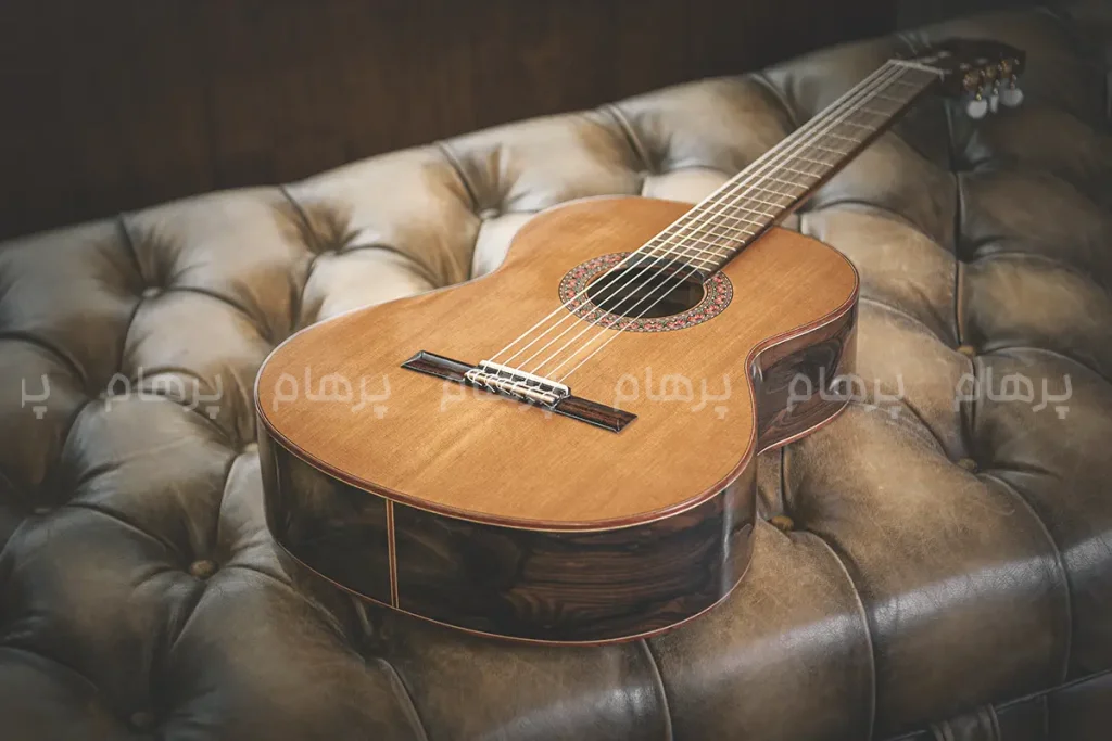 تاریخچه و معرفی ساز گیتار